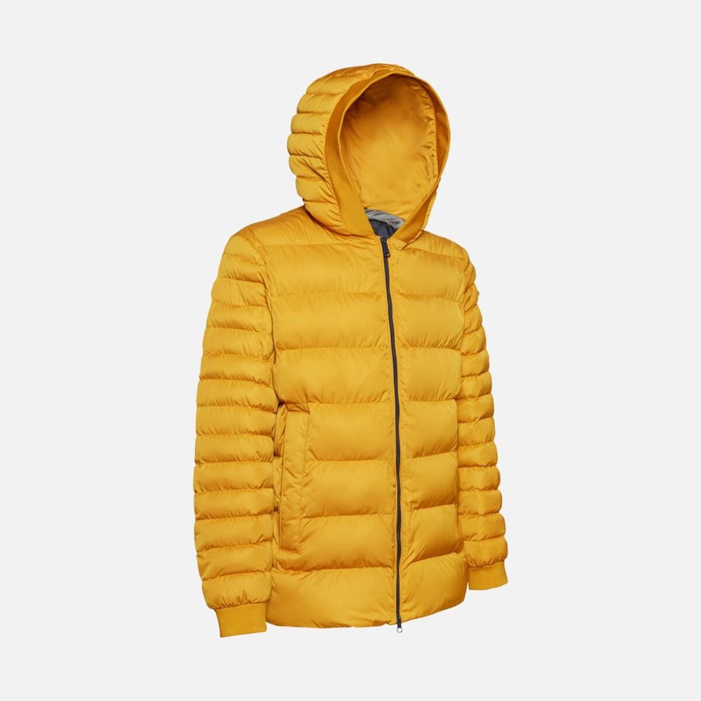 GEOX: Colbyn Hood Jacket - Chai Tea - Picture 3 of 14